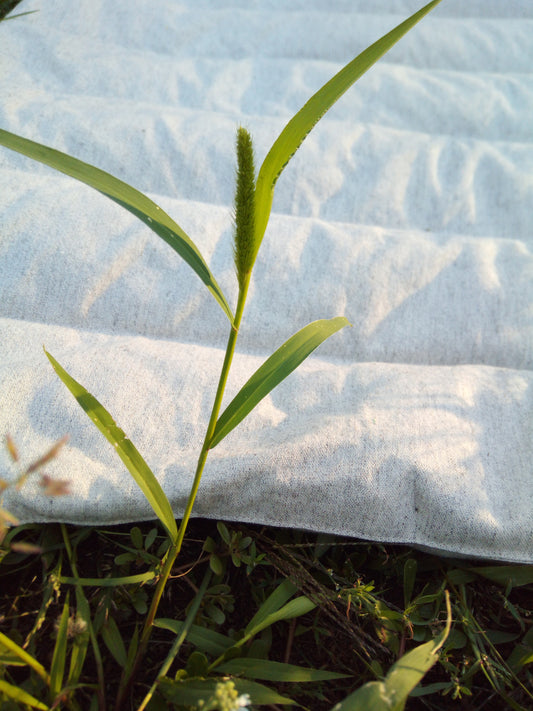 Hemp floor cushion with Buckwheat husk/Organic floor cushion