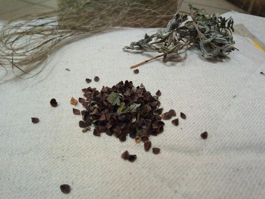 Hemp pillow with lavender, mint, melissa and buckwheat husks pillow insert, Organic aroma therapy cushion