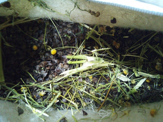 Hemp pillow with herbs, Berkun, chamomile flowers, buckwheat hull, Orthopedic strong pillow with aromatherapy effect