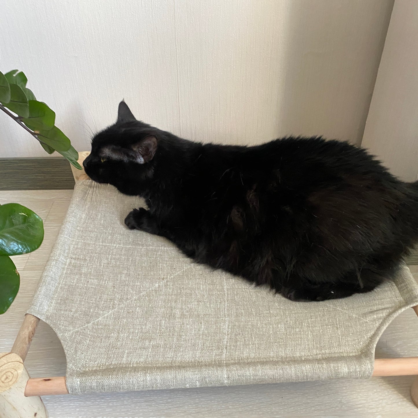 Wood bed for pet with hemp fabric, Natural cat bed