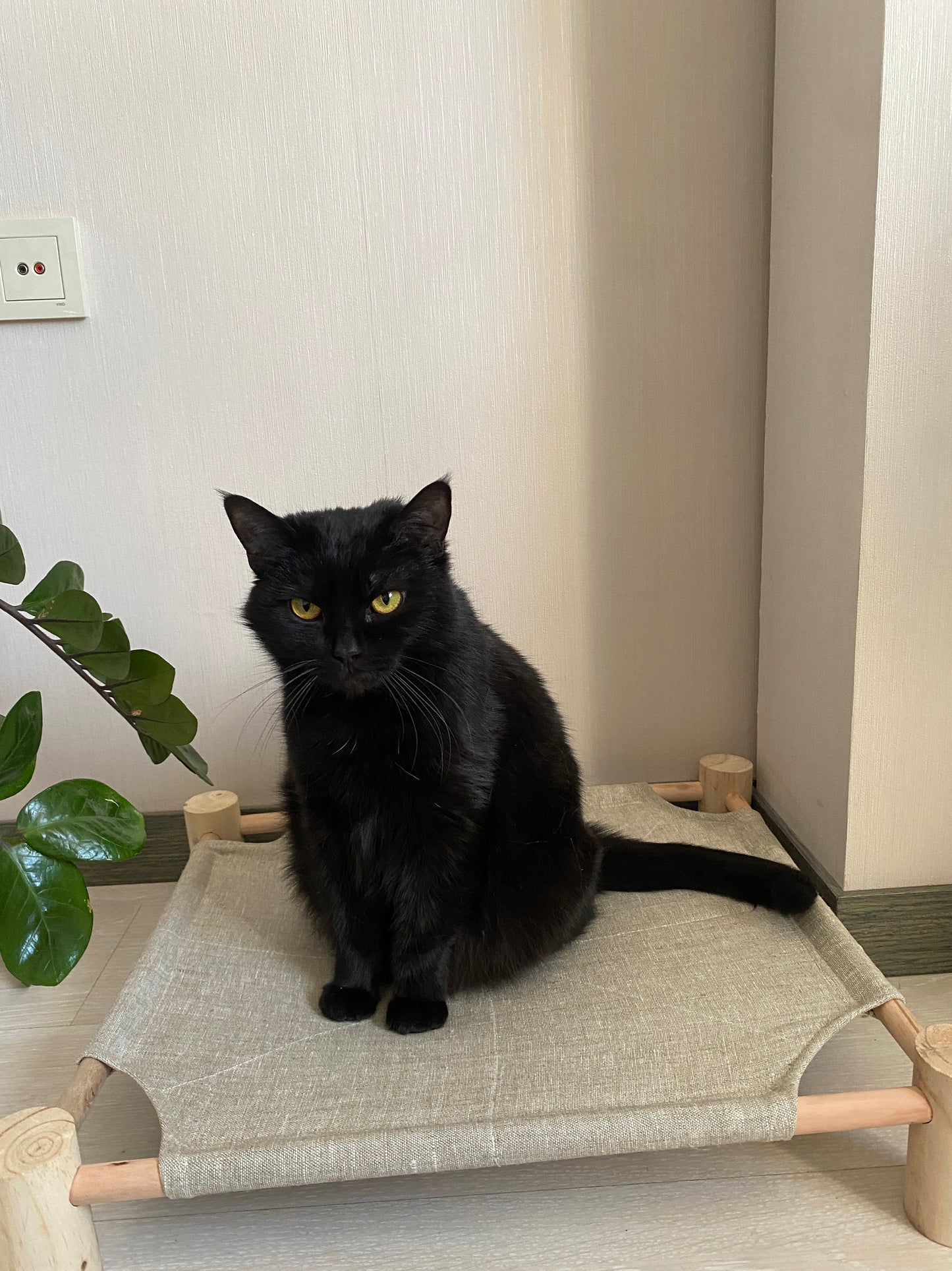 Wood bed for pet with hemp fabric, Natural cat bed