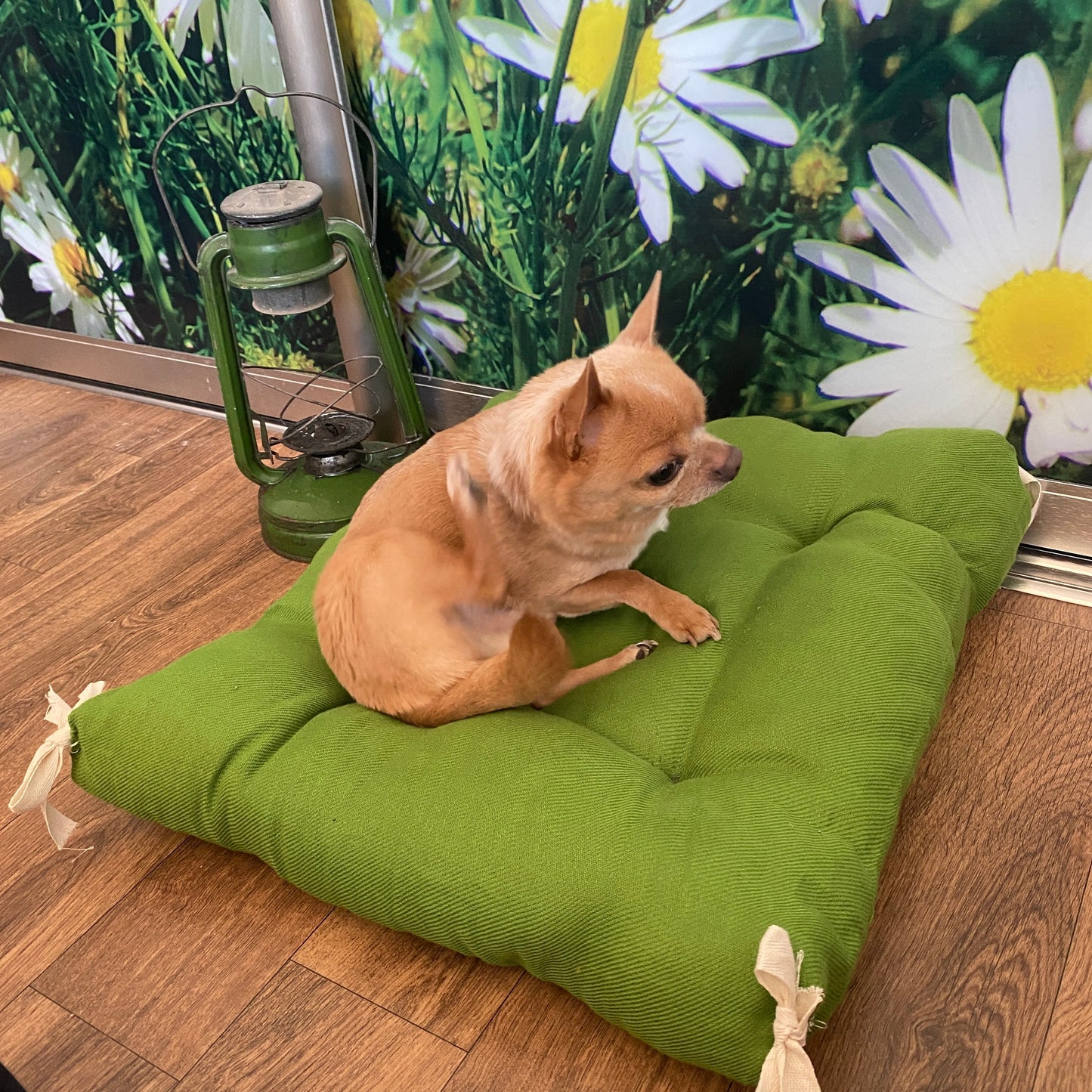 Hemp mat for dogs,Hemp filler and hemp fabric