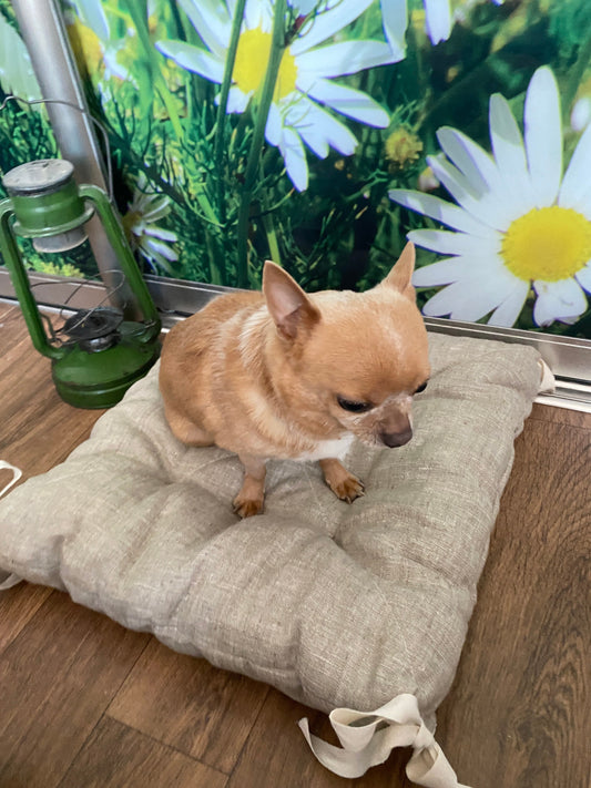 Hemp dog pillow, hemp filler and hemp fabric outside