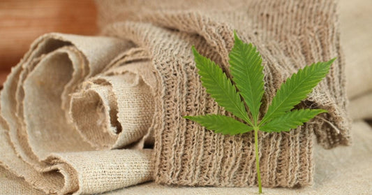 Durability of Hemp Fabrics: Why Choose Hemp?