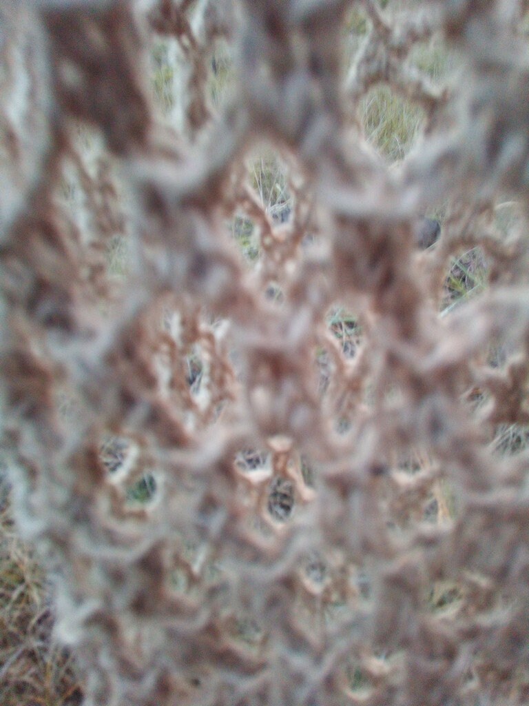 Hemp knit bag transparent, Use as market bag or to take some products to the beach