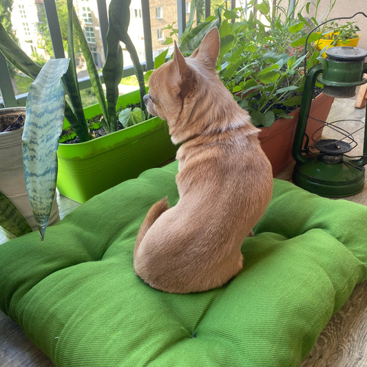 Hemp mat for dogs, Pet mat made of natural components, Hemp filler and hemp fabric