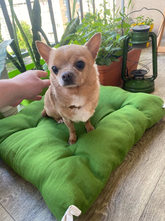 Hemp mat for dogs, Pet mat made of natural components, Hemp filler and hemp fabric