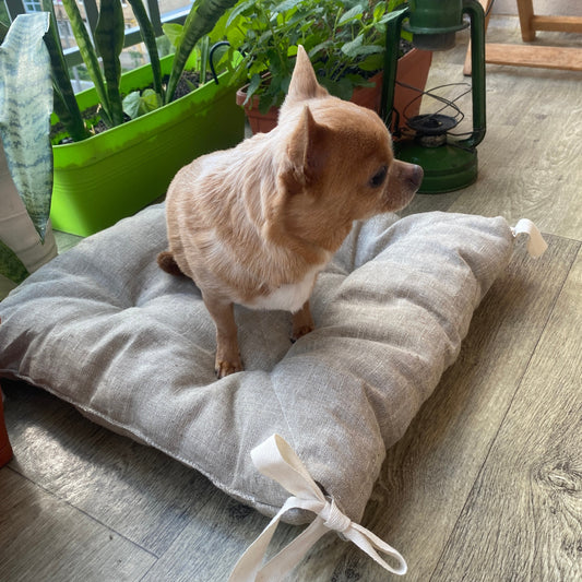Hemp dog pillow, hemp filler and hemp fabric outside