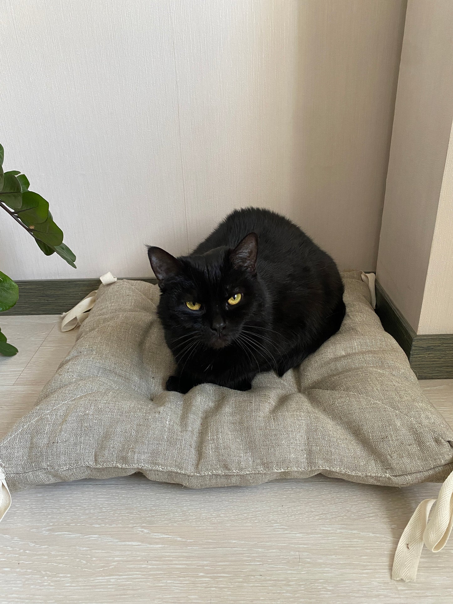 Pet bed made of hemp, Gray hemp pillow for cats