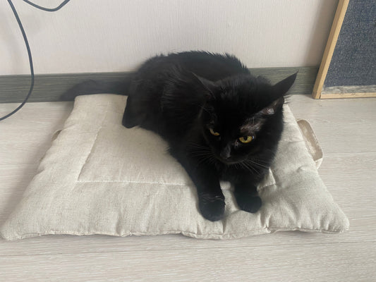 Hemp Pet Mat